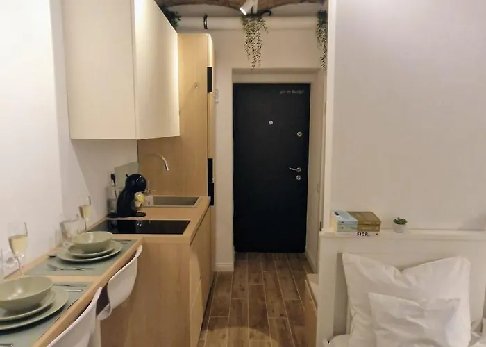 Petit Клуж-Напока