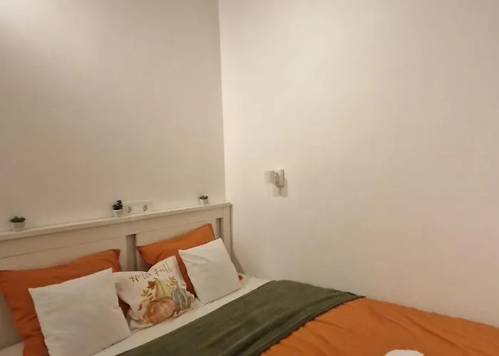 Apartment Petit Cluj-Napoca