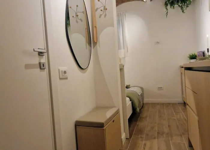 Apartment Petit Cluj-Napoca